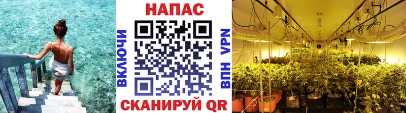 Виды наркотиков купить Чадан Канабис  Codein  Мефедрон 
