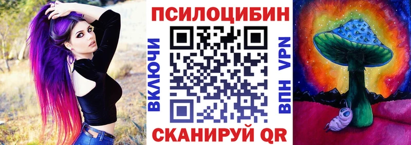 наркота  Чадан  omg tor  Галлюциногенные грибы мицелий 