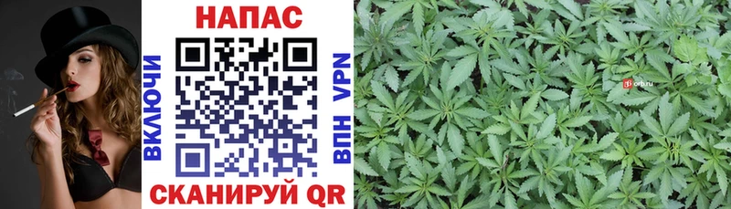купить наркотики цена  Чадан  Шишки марихуана White Widow 